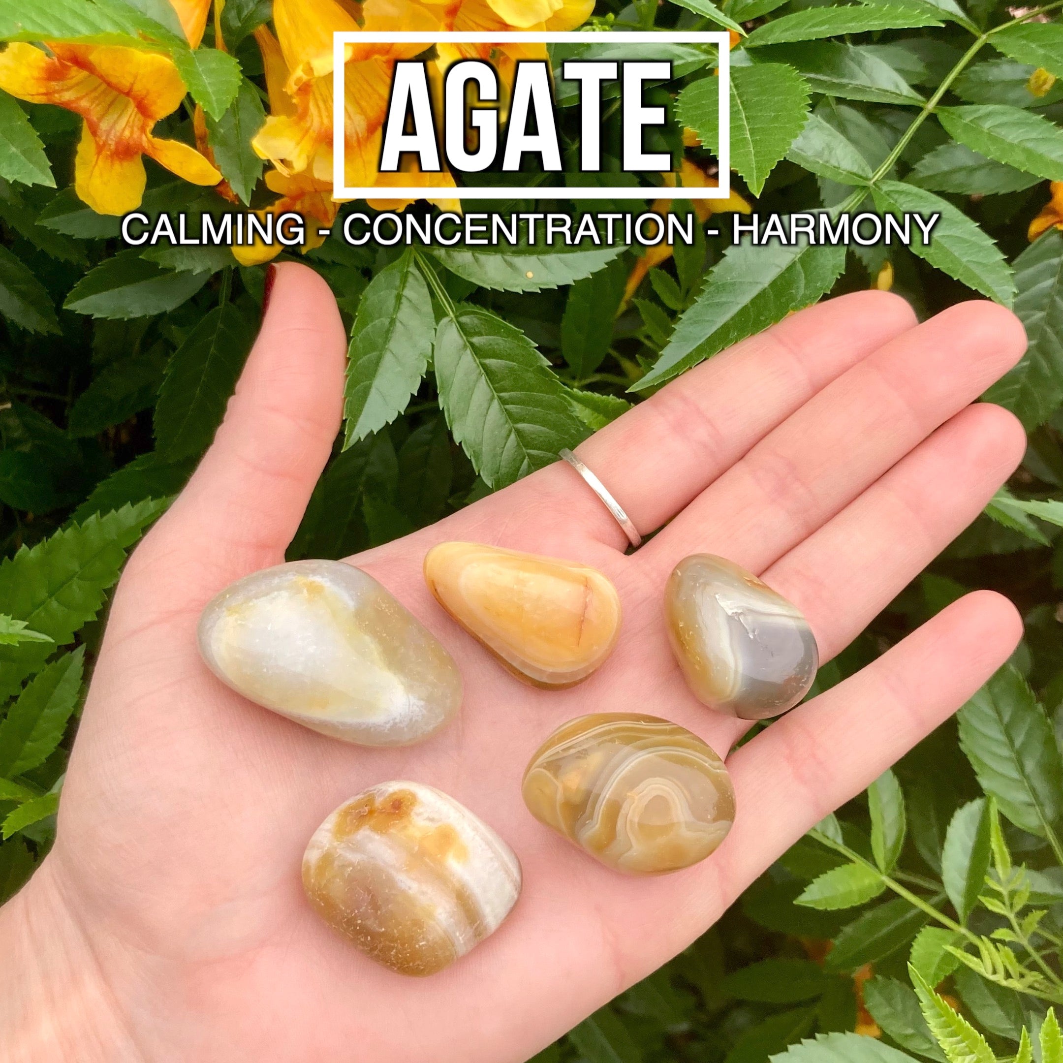Agate (Pack of 5) – ilovecrystalslasvegas