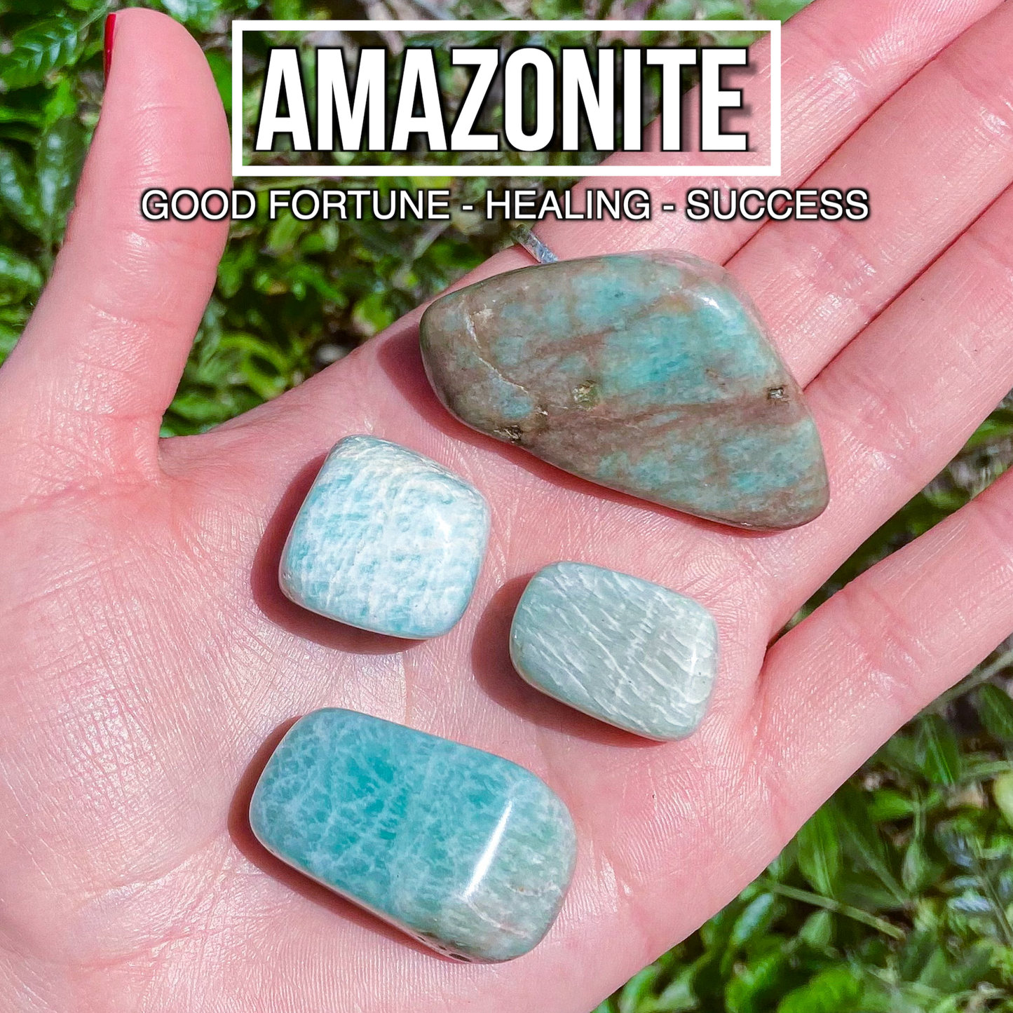 Amazonite (Pack of 4)