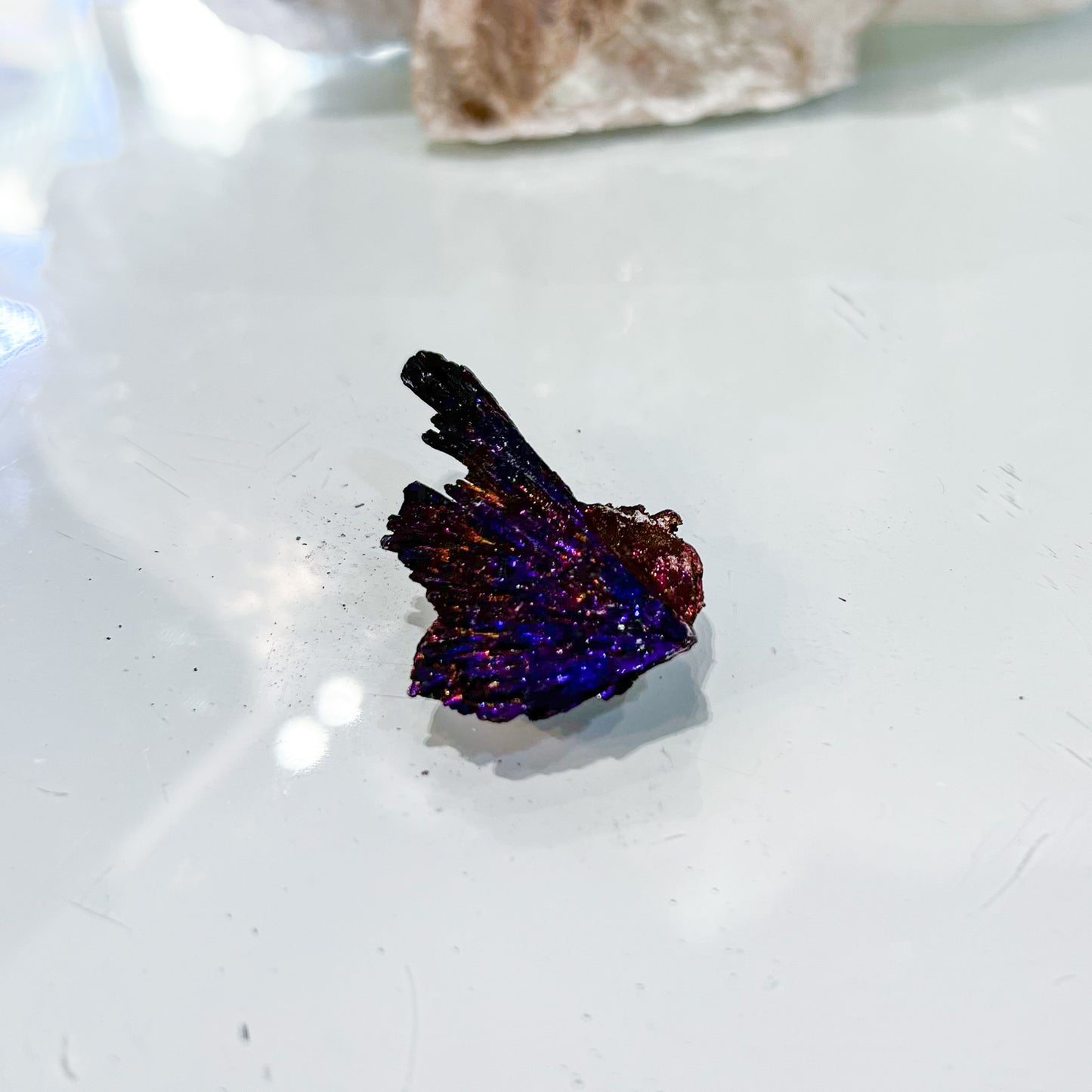 Titanium Aura Black Kyanite