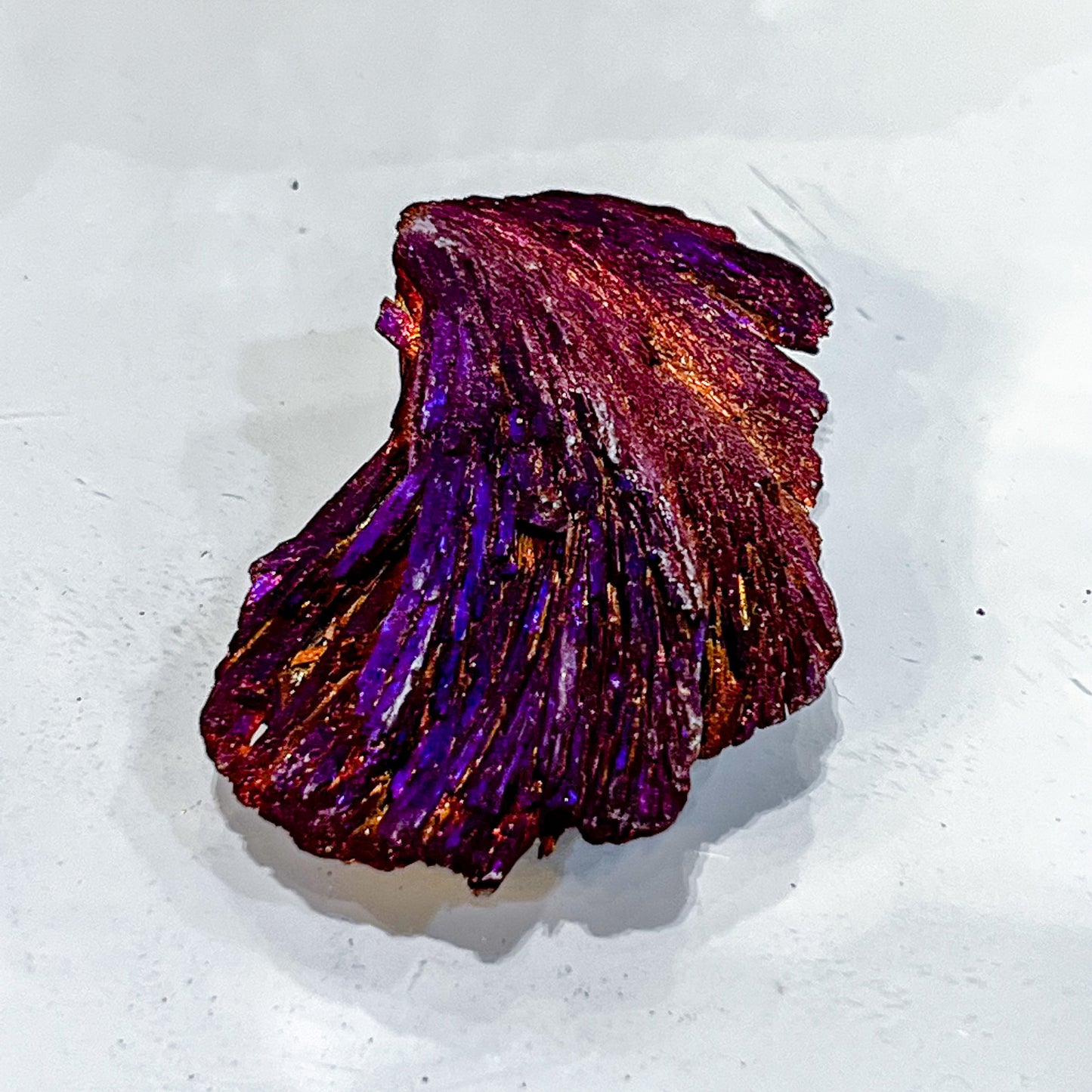 Titanium Aura Black Kyanite