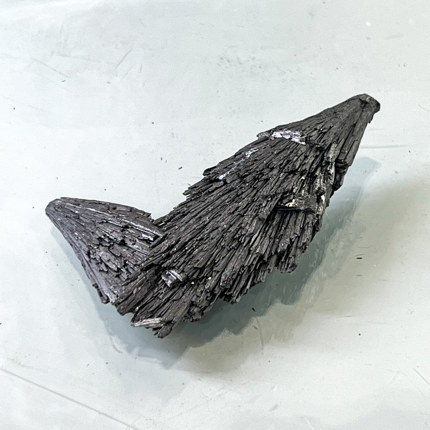 Silver Aura Black Kyanite