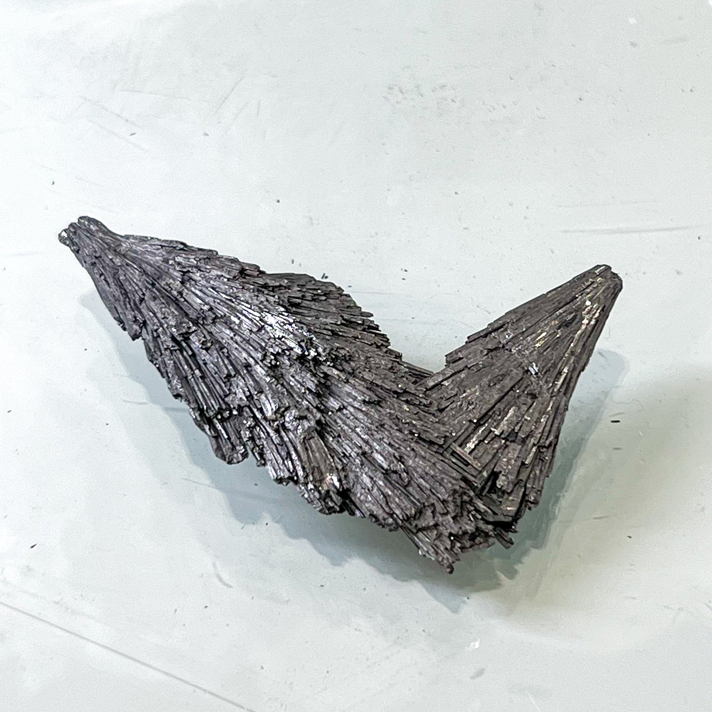 Silver Aura Black Kyanite
