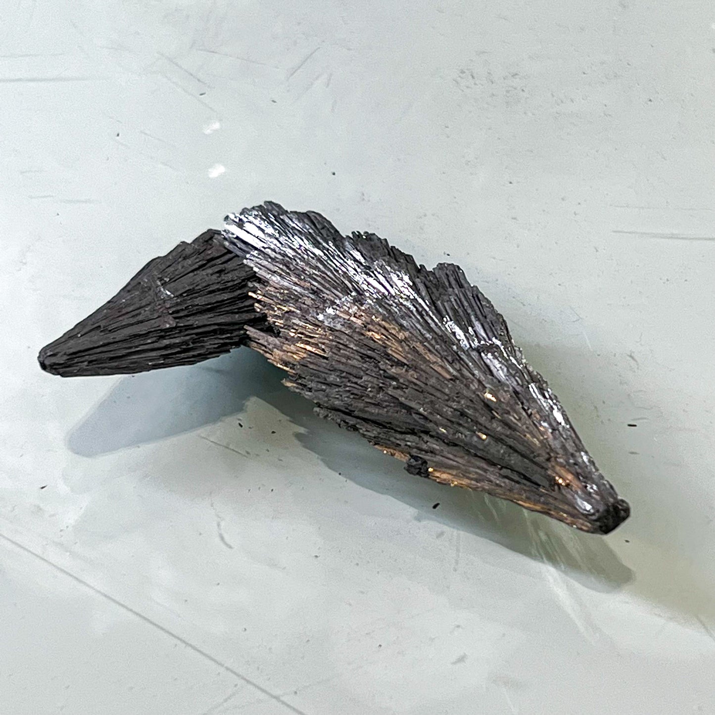 Silver Aura Black Kyanite