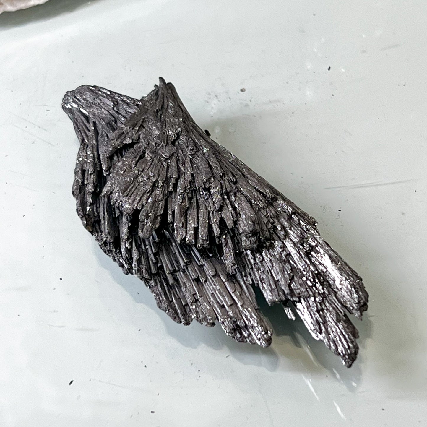 Silver Aura Black Kyanite