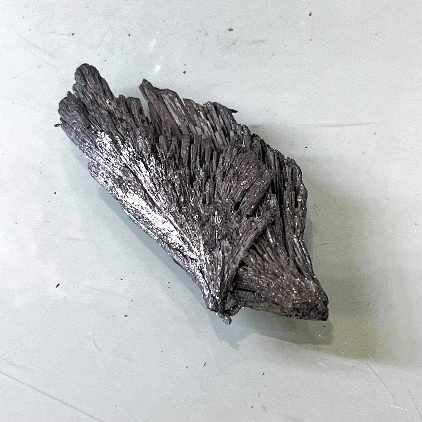 Silver Aura Black Kyanite