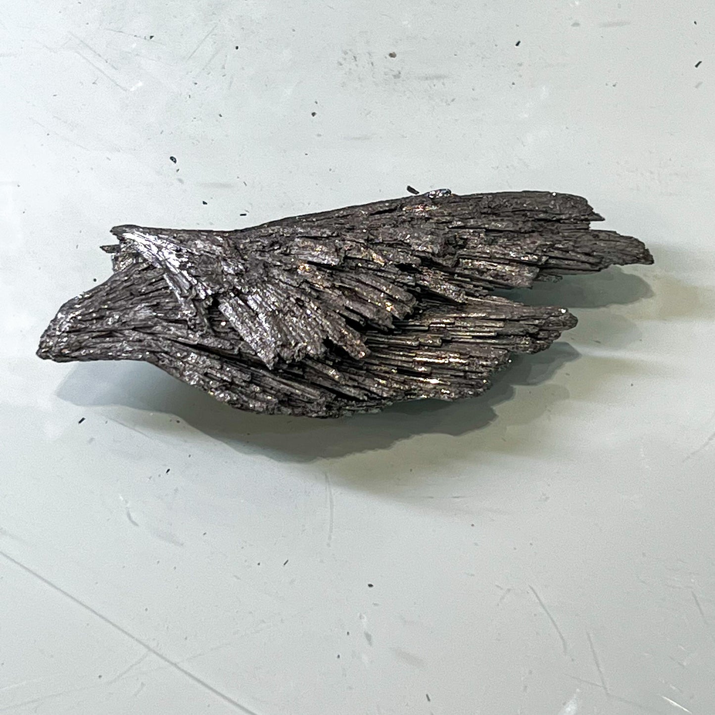 Silver Aura Black Kyanite
