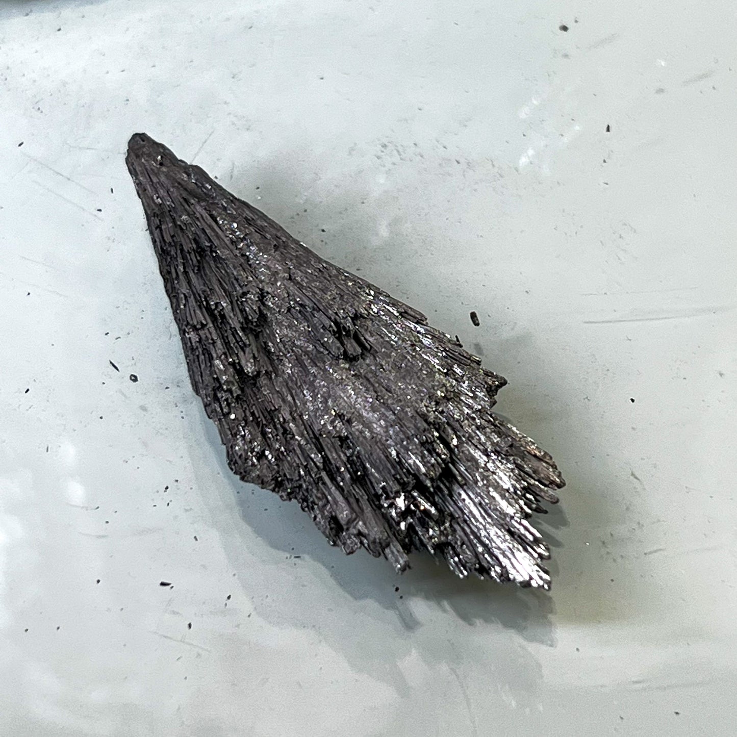 Silver Aura Black Kyanite