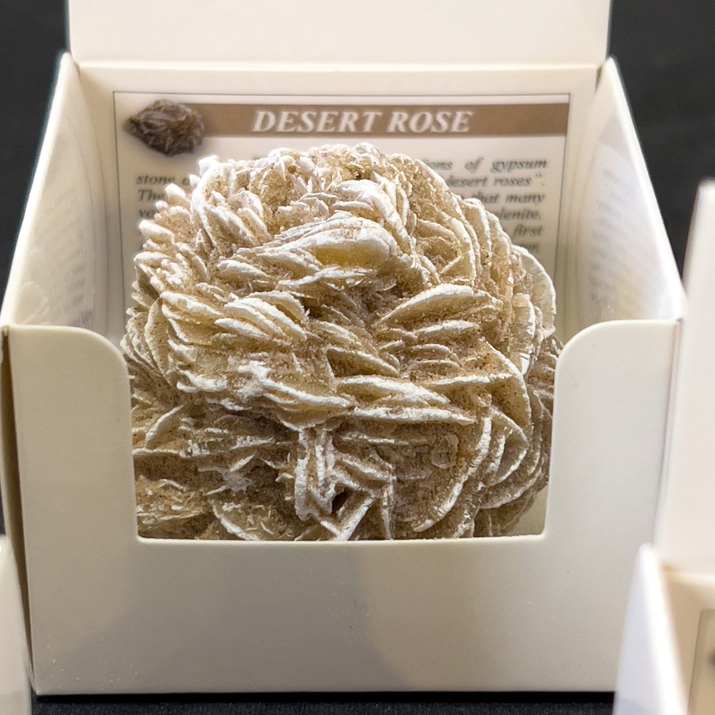 Desert Rose Selenite