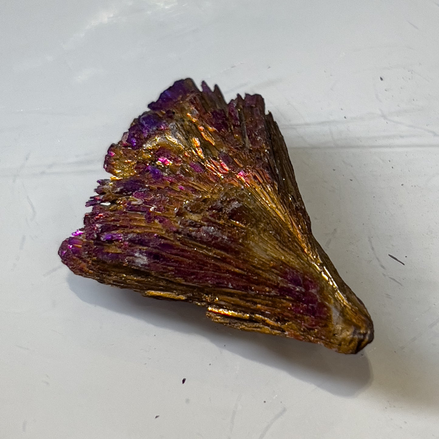 Titanium Aura Black Kyanite