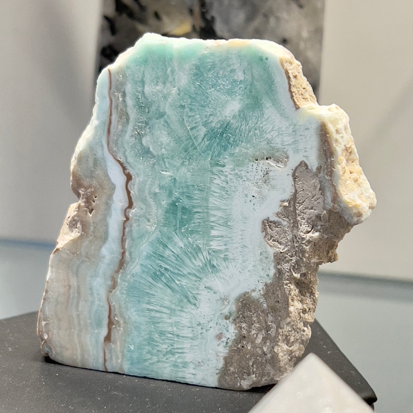 Caribbean Calcite Freeform Slice