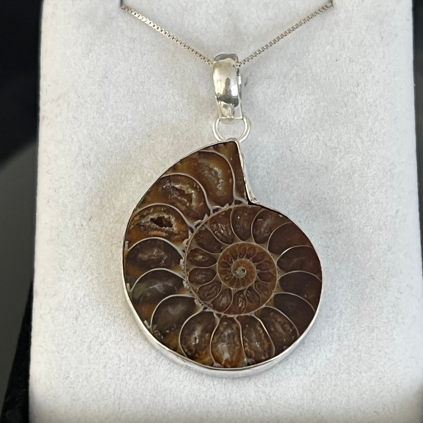 Ammonite Sterling Silver Necklace