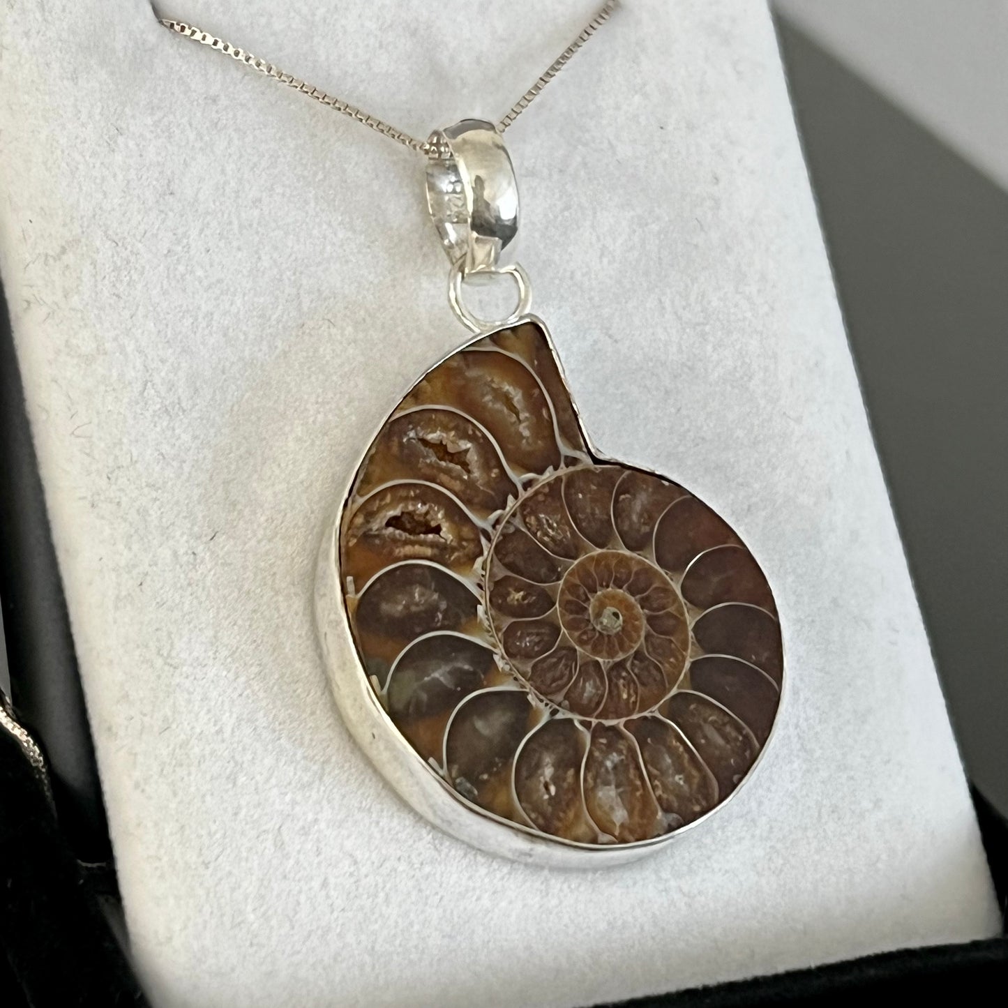 Ammonite Sterling Silver Necklace