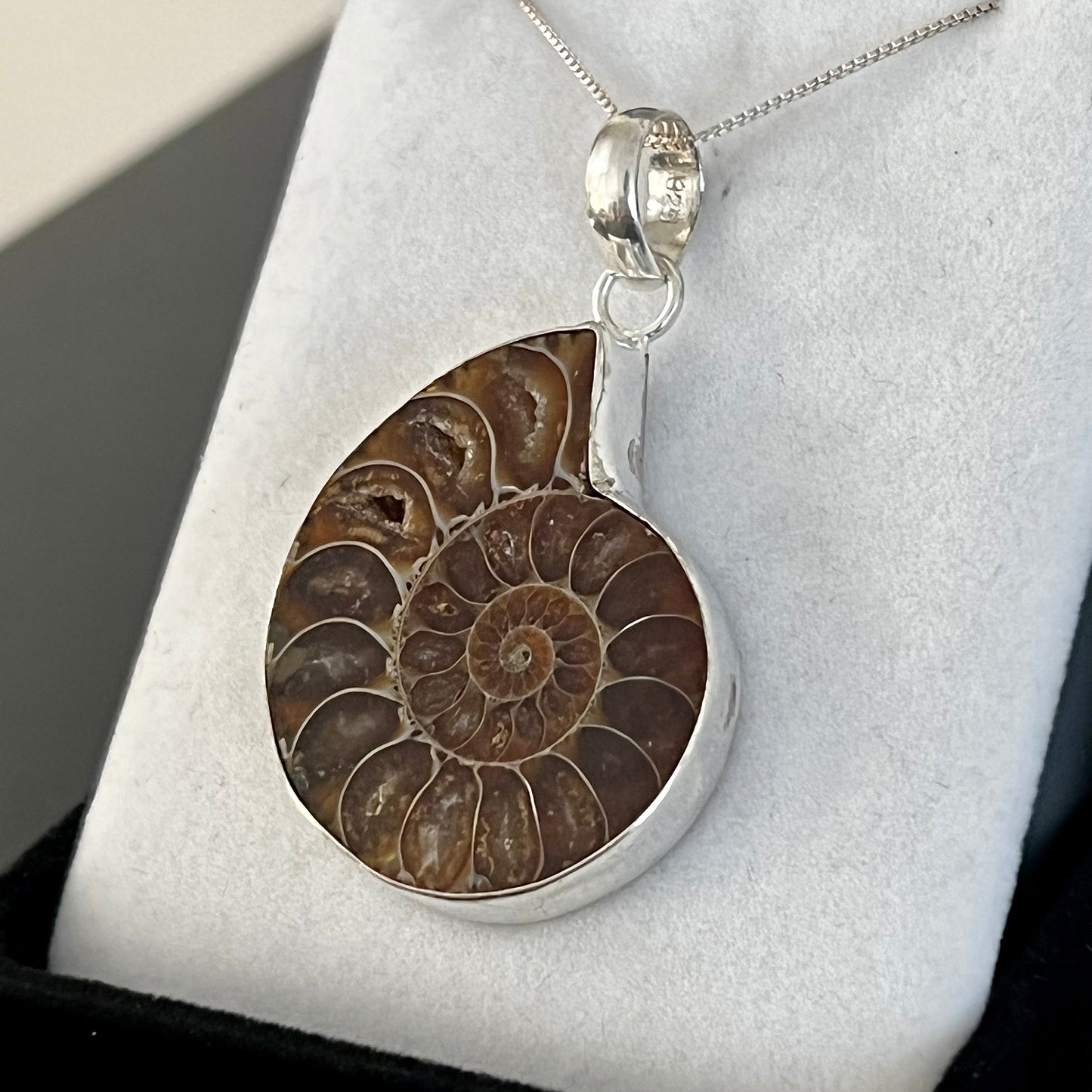 Ammonite Sterling Silver Necklace