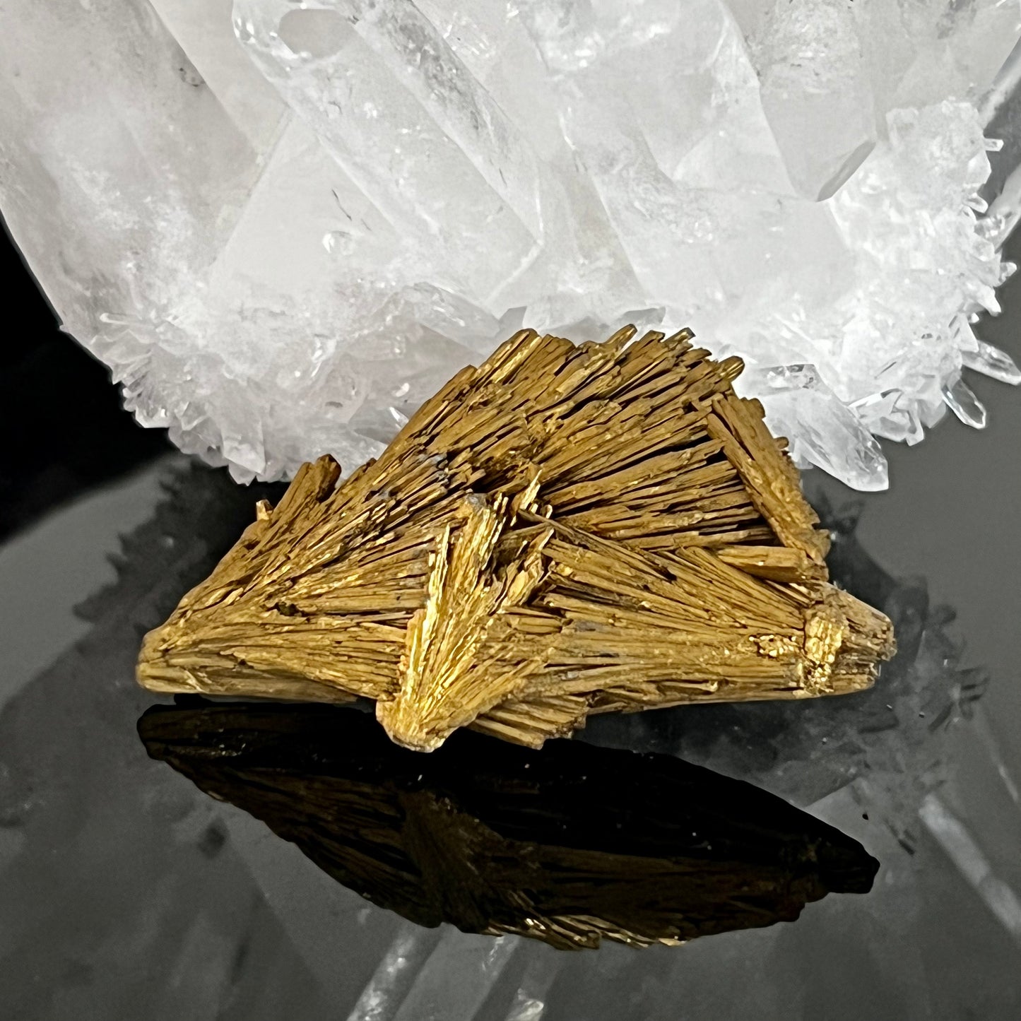 Golden Aura Black Kyanite