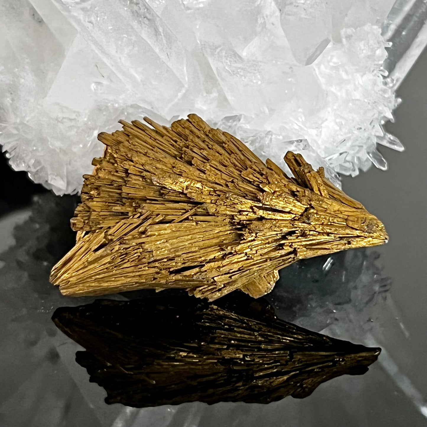 Golden Aura Black Kyanite
