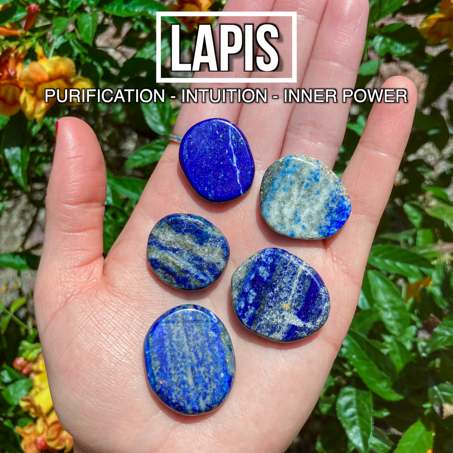 Lapis (Pack of 5)