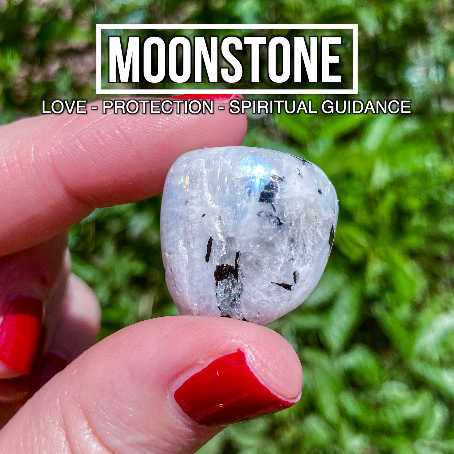 Moonstone (Pack of 4)