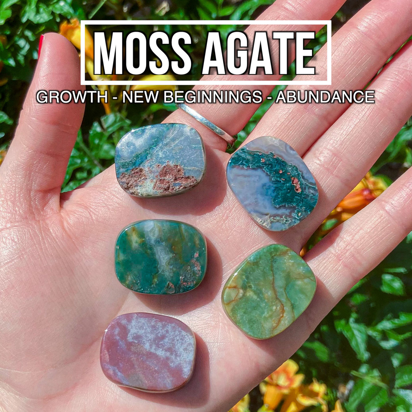Moss Agate (Pack of 5)