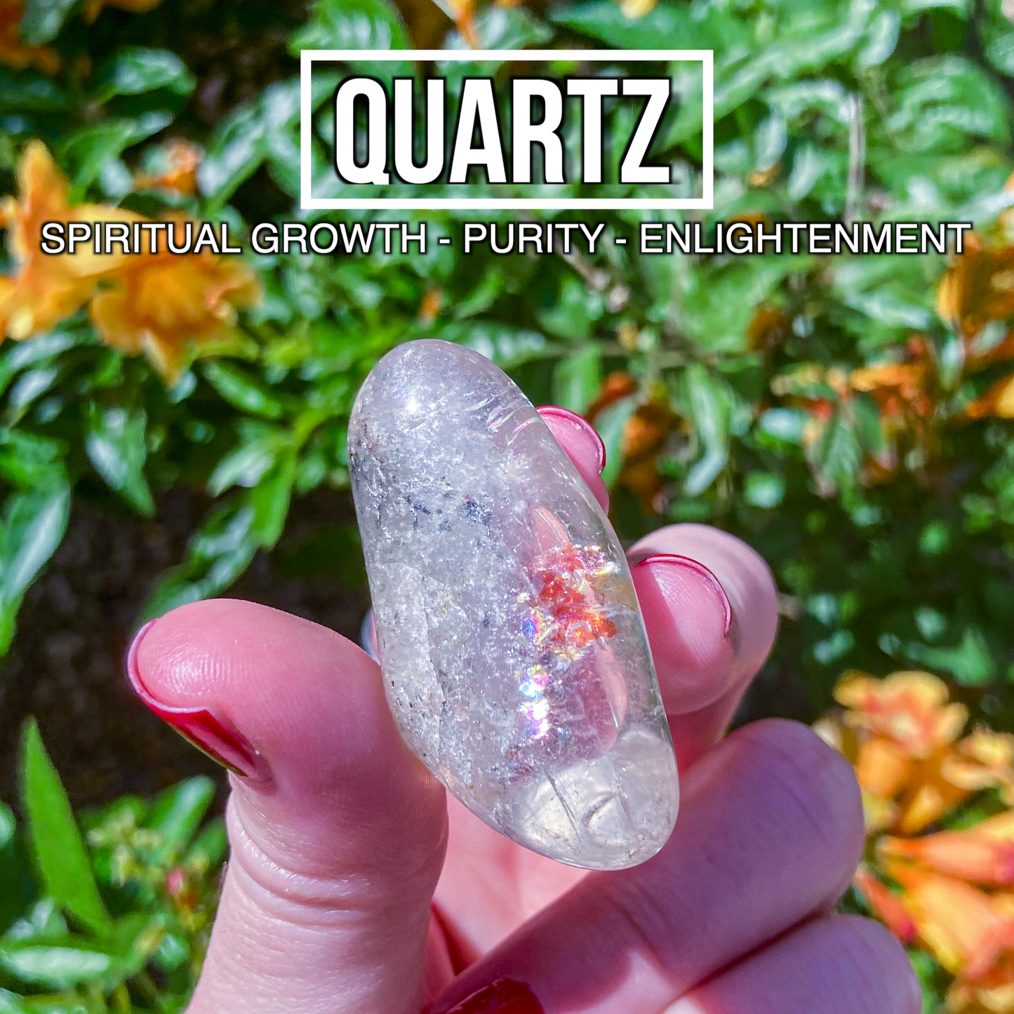 Quartz (Pack of 3)
