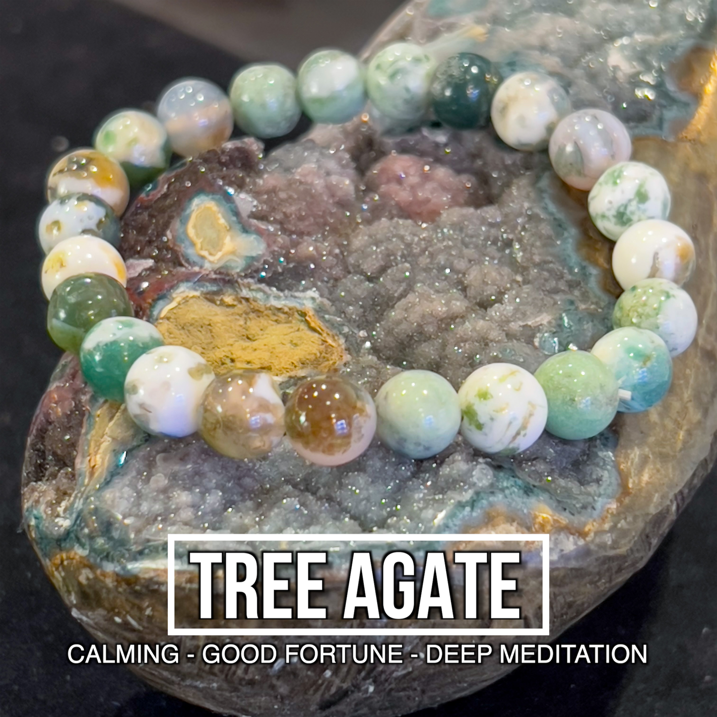 Tree Agate Bracelet 8mm