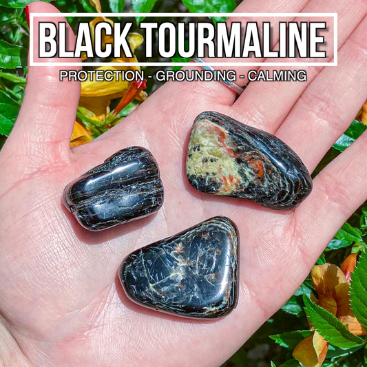 Black Tourmaline (Pack of 3)