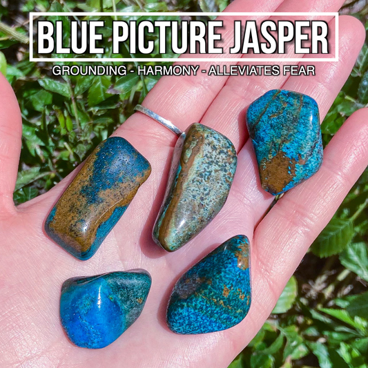 Blue Picture Jasper (Pack of 5)