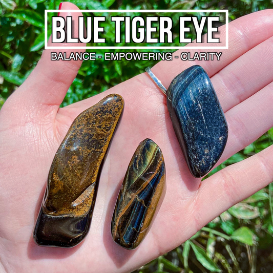 Blue Tiger Eye (Pack of 3)