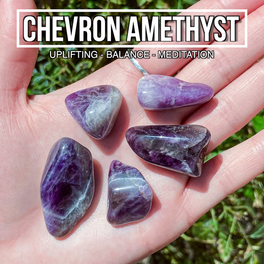 Chevron Amethyst (Pack of 5)
