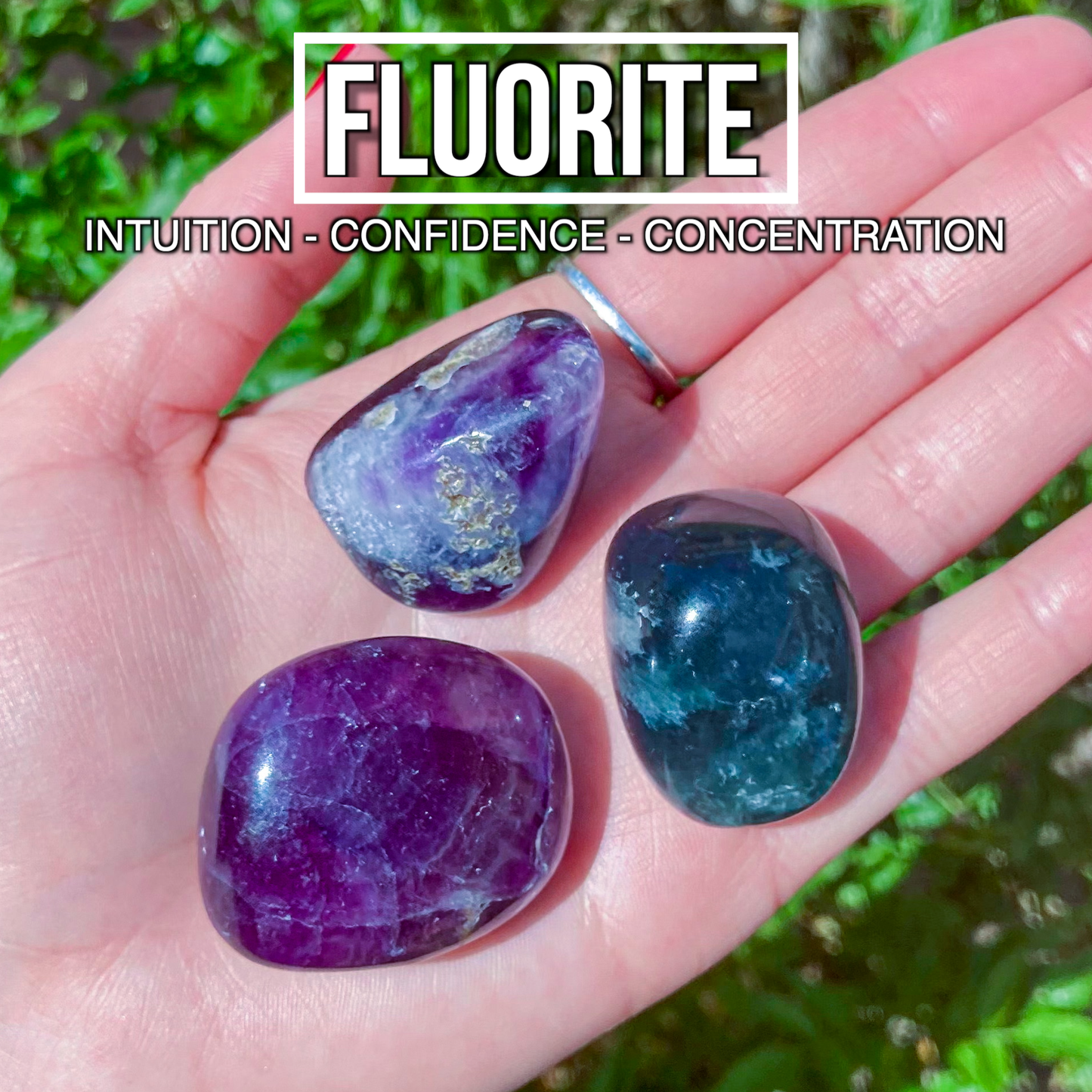 Fluorite (Pack of 3)