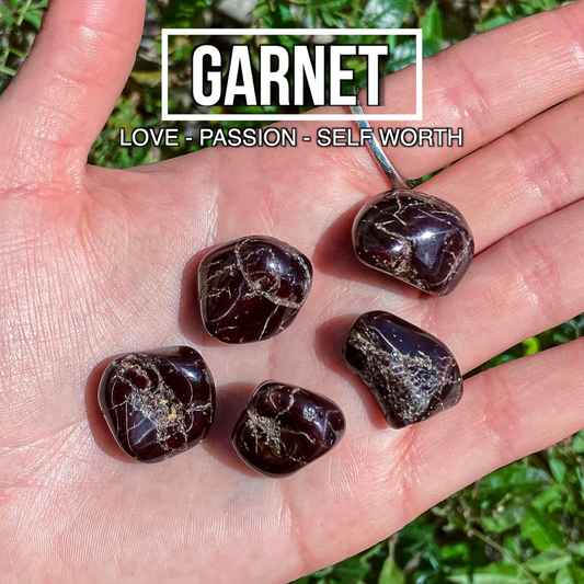 Garnet (Pack of 5)