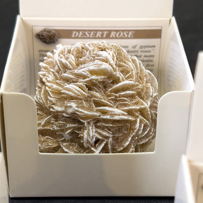 Desert Rose Selenite