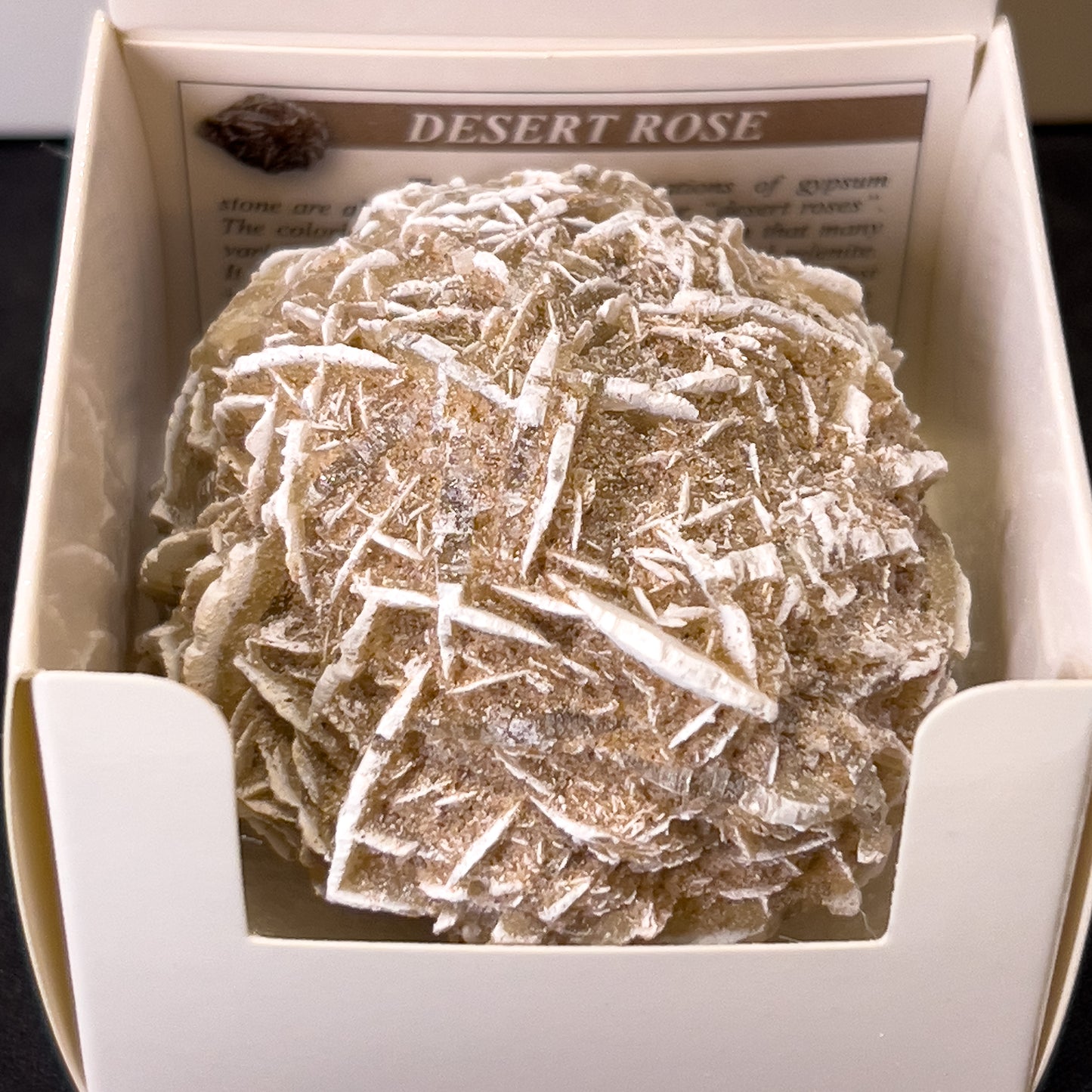 Desert Rose Selenite