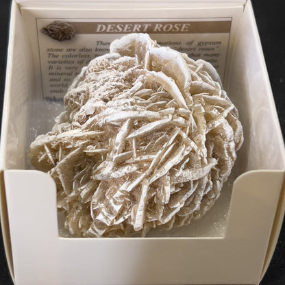 Desert Rose Selenite