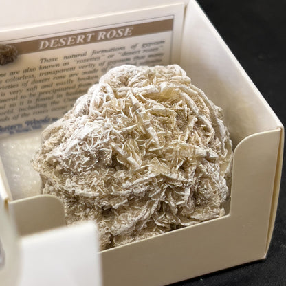 Desert Rose Selenite