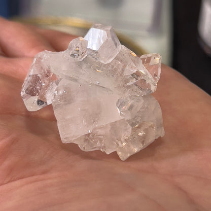 Apophyllite