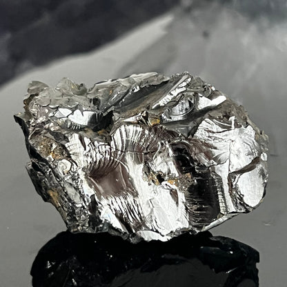 Shungite Elite