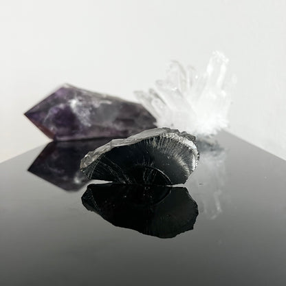 Shungite Elite