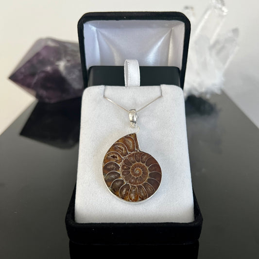 Ammonite Sterling Silver Necklace