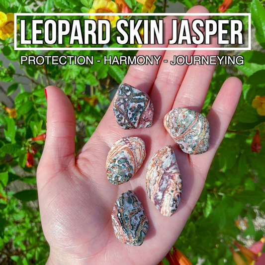 Leopard Skin Jasper (Pack of 5)