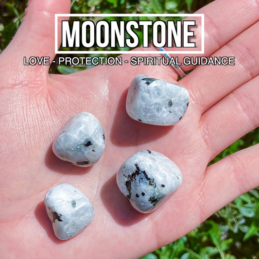 Moonstone (Pack of 4)