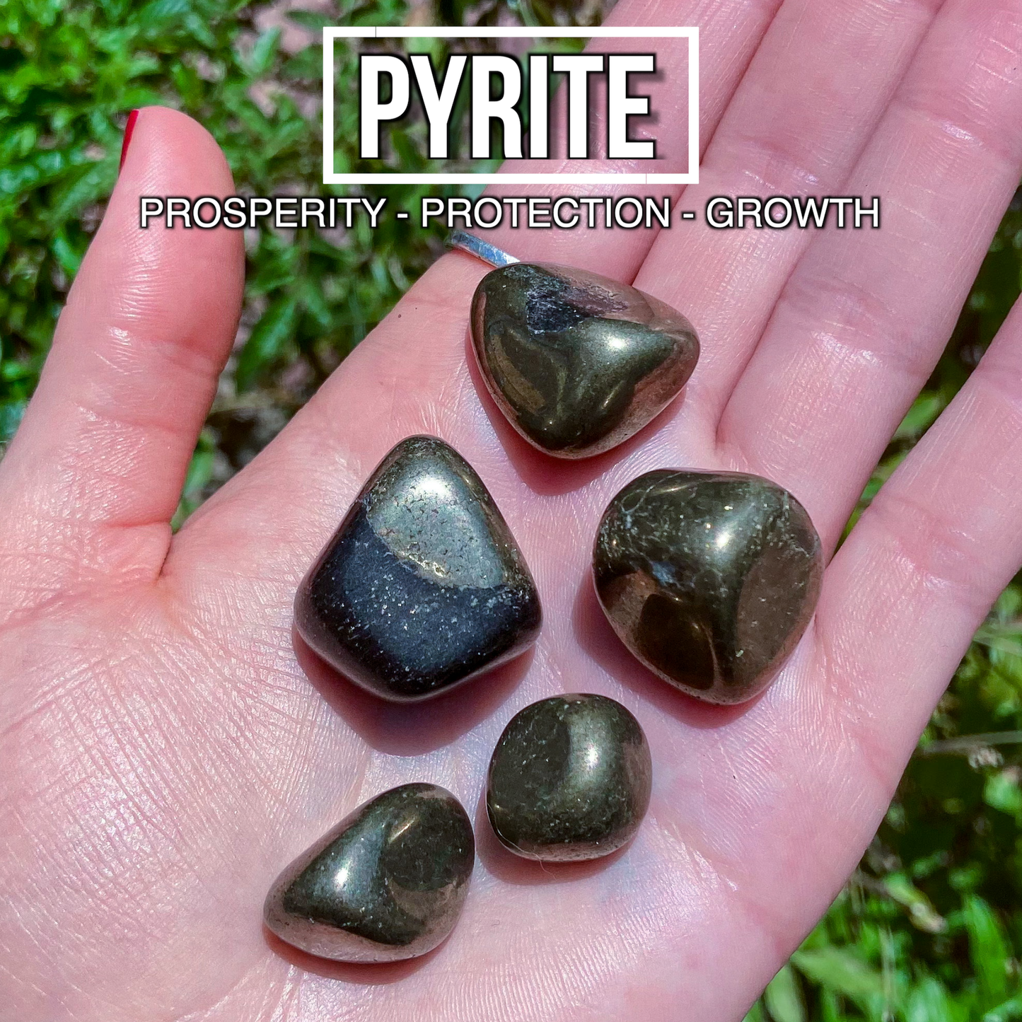 Pyrite (Pack of 5)