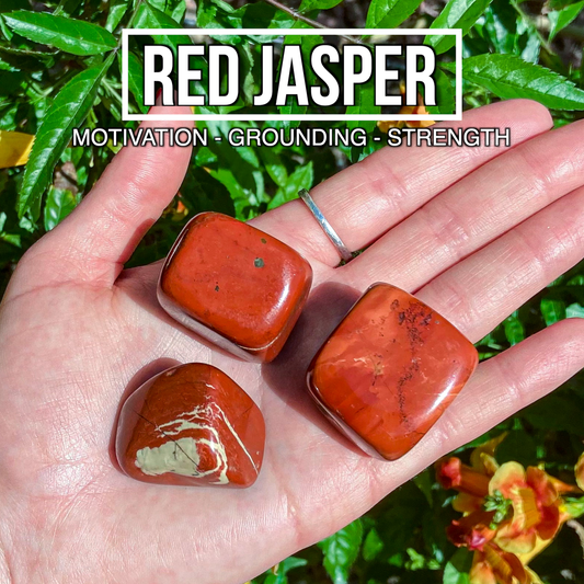 Red Jasper (Pack of 3)