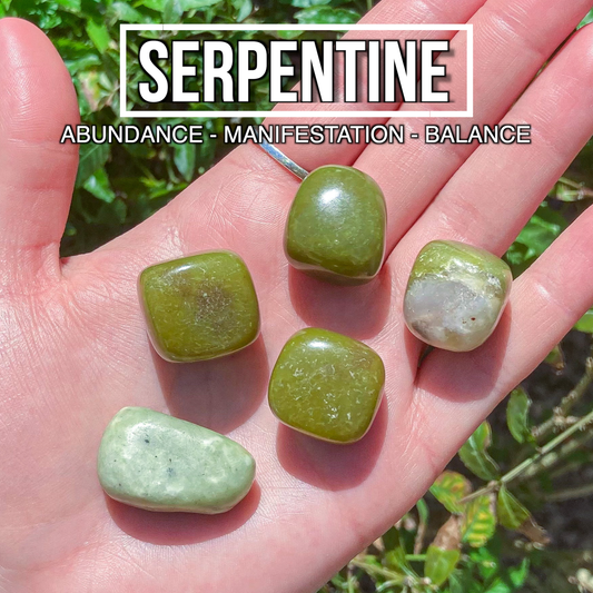 Serpentine (Pack of 5)