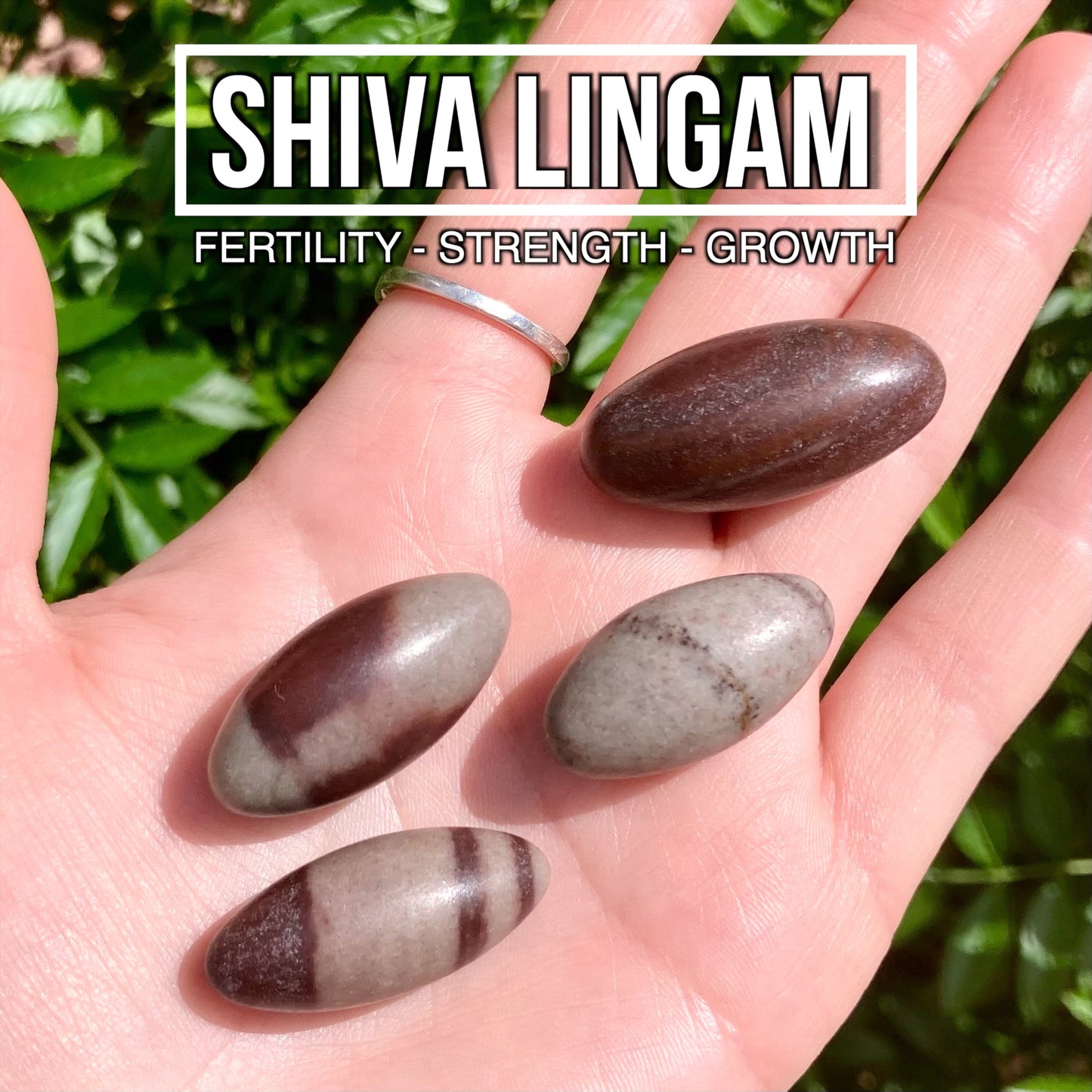Shiva Lingam (Set of 4)
