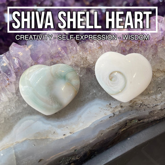 Shiva Shell Heart (Pack of 2)