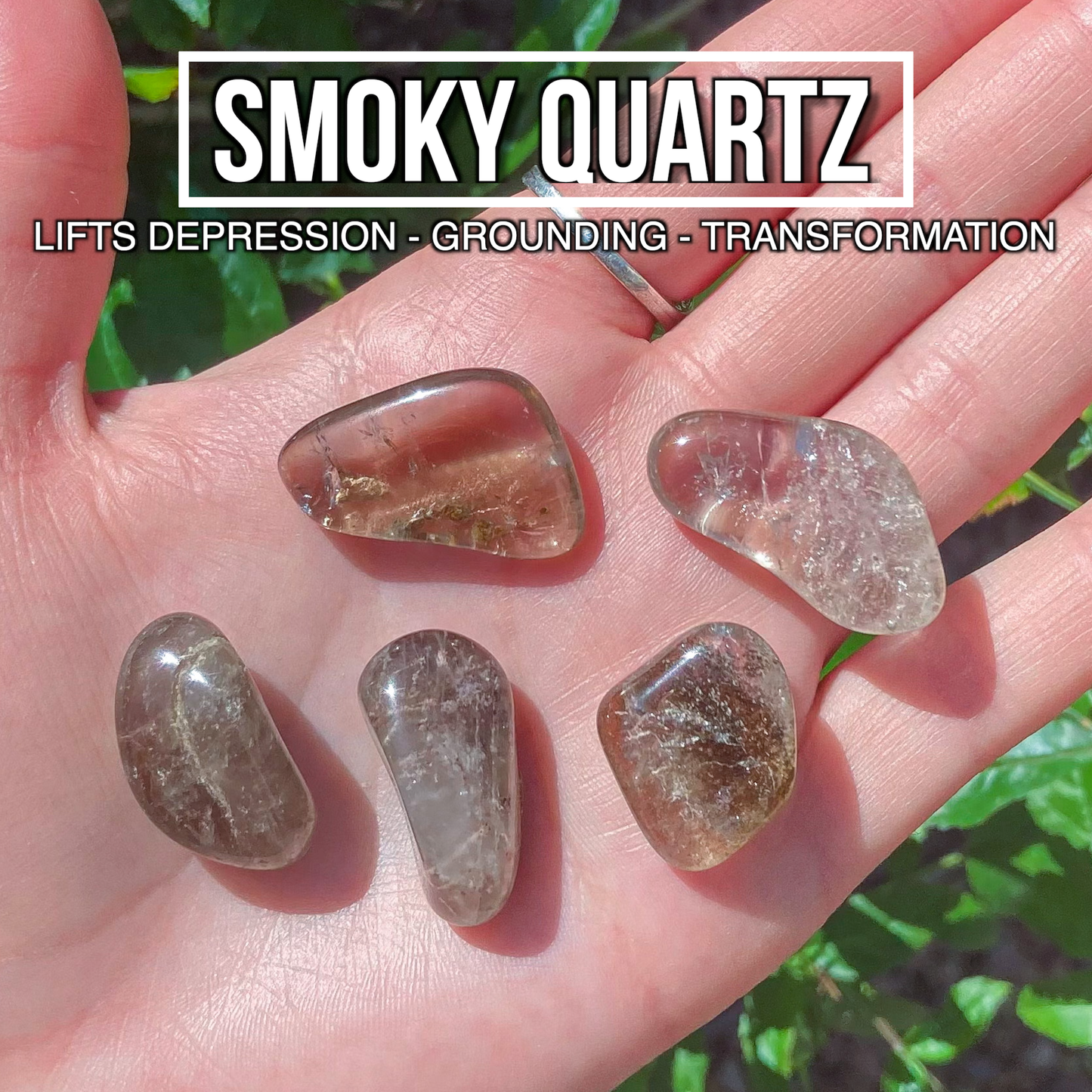 Smoky Quartz (Pack of 5)