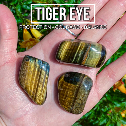 Tiger Eye (Pack of 3)