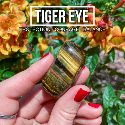 Tiger Eye (Pack of 3)