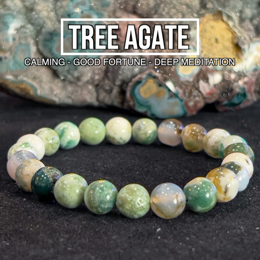 Tree Agate Bracelet 8mm