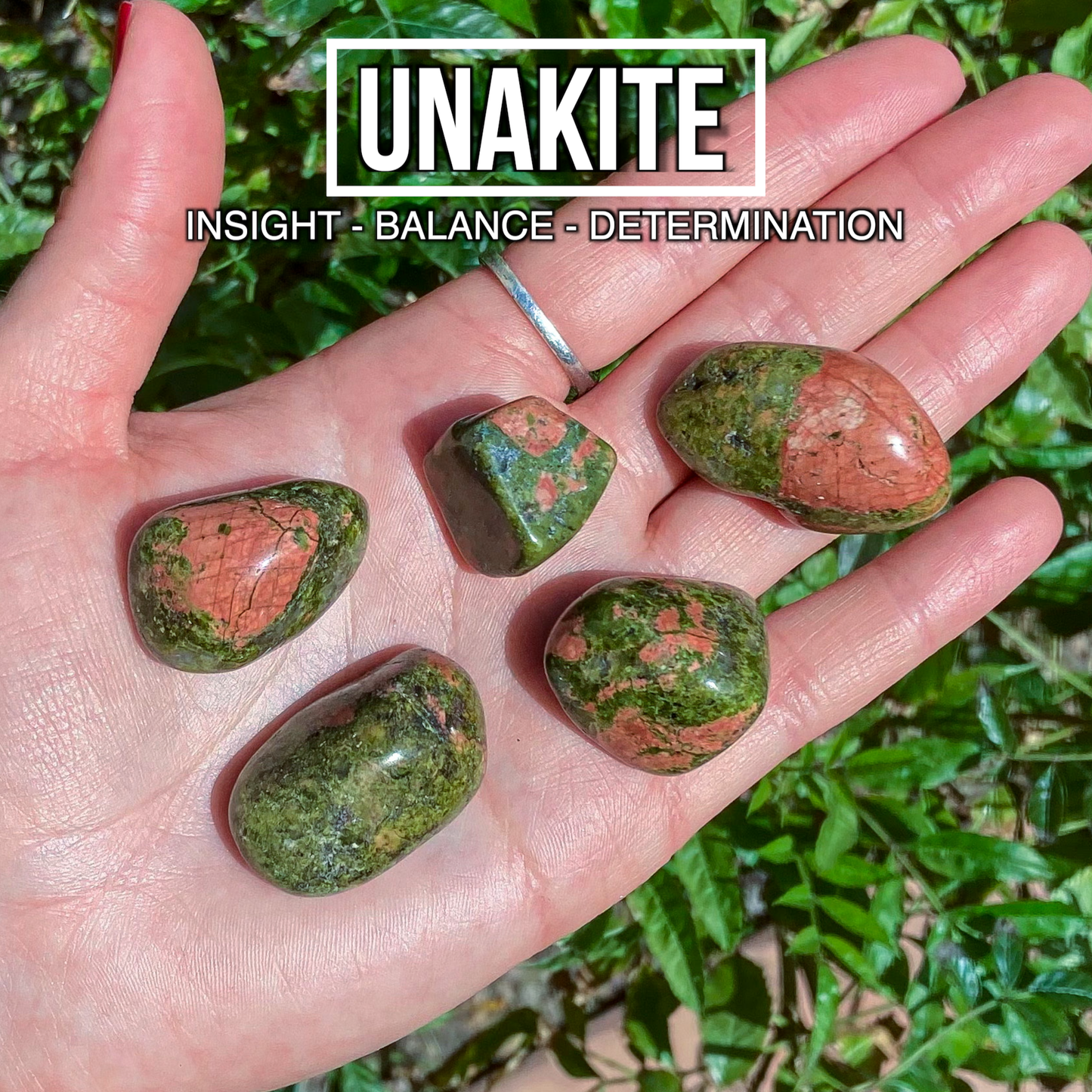 Unakite (Pack of 5)